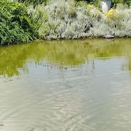 Domaine Le Lanis Chambre D'Hotes Piscine Spa Privatise Sur Reservation Saint-Girons  Esterno foto