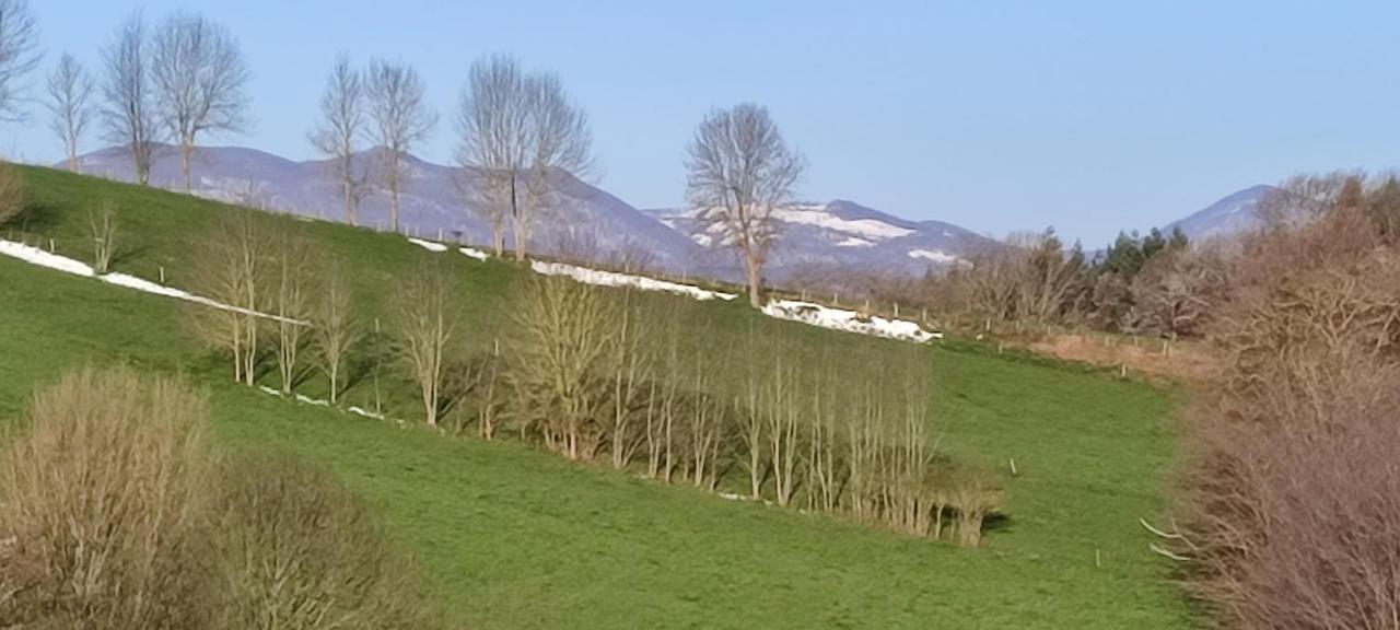 Domaine Le Lanis Chambre D'Hotes Piscine Spa Privatise Sur Reservation Saint-Girons  Esterno foto
