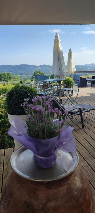 Domaine Le Lanis Chambre D'Hotes Piscine Spa Privatise Sur Reservation Saint-Girons  Esterno foto
