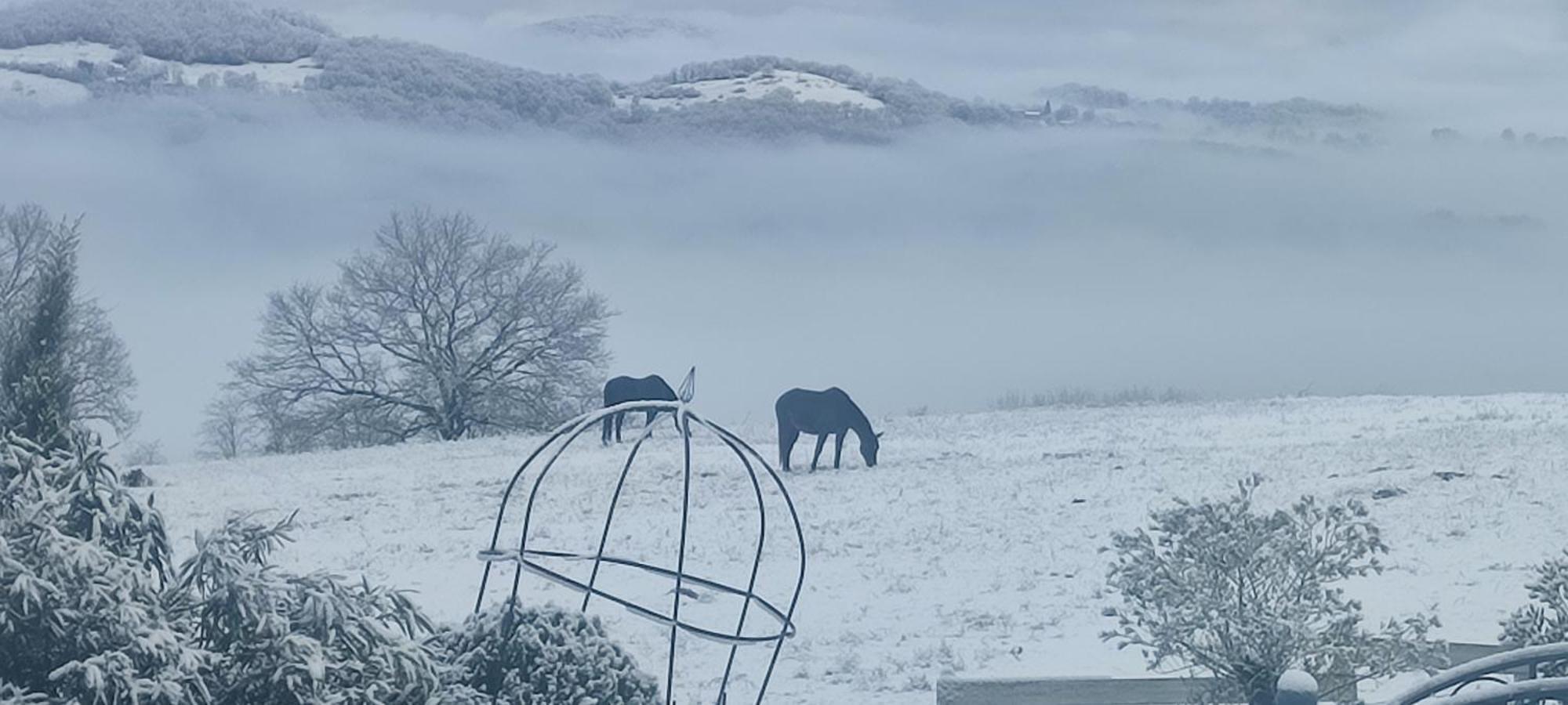 Domaine Le Lanis Chambre D'Hotes Piscine Spa Privatise Sur Reservation Saint-Girons  Esterno foto