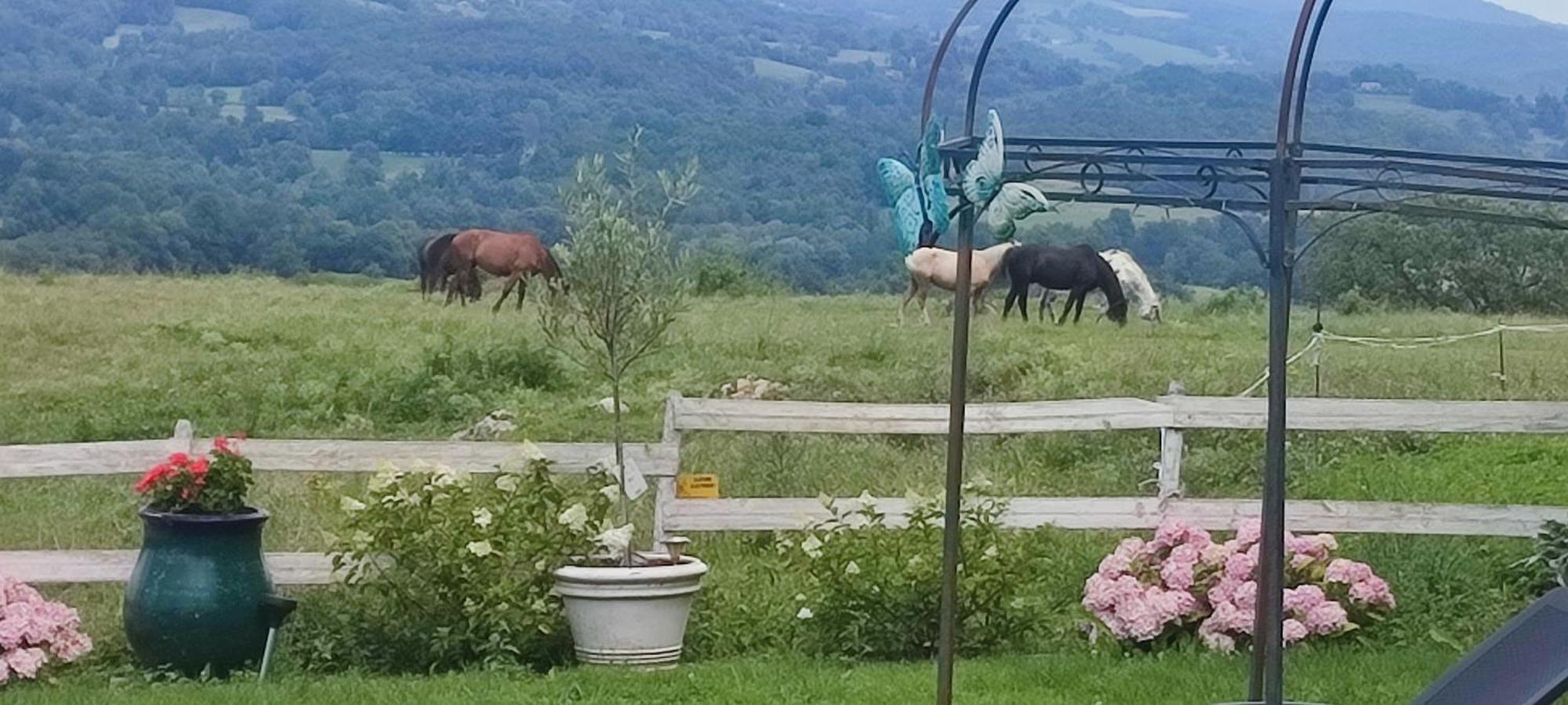 Domaine Le Lanis Chambre D'Hotes Piscine Spa Privatise Sur Reservation Saint-Girons  Esterno foto